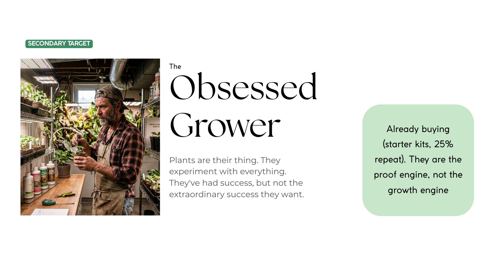 Naked Root brand work